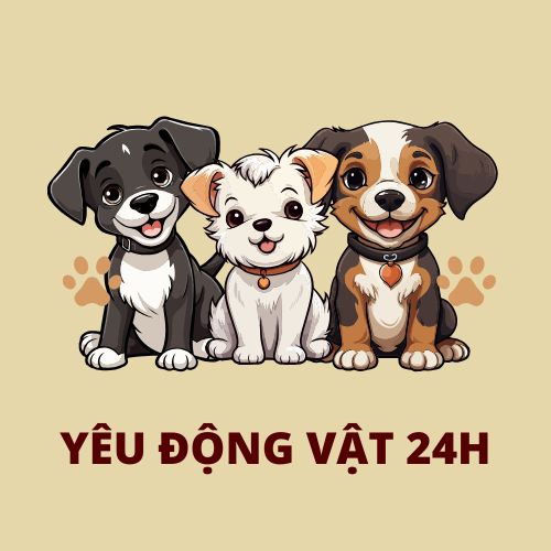 Yêu Động Vật 24H